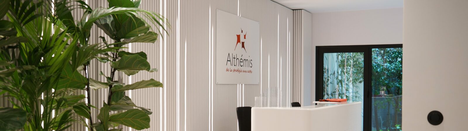 Althémis - From strategy to deeds